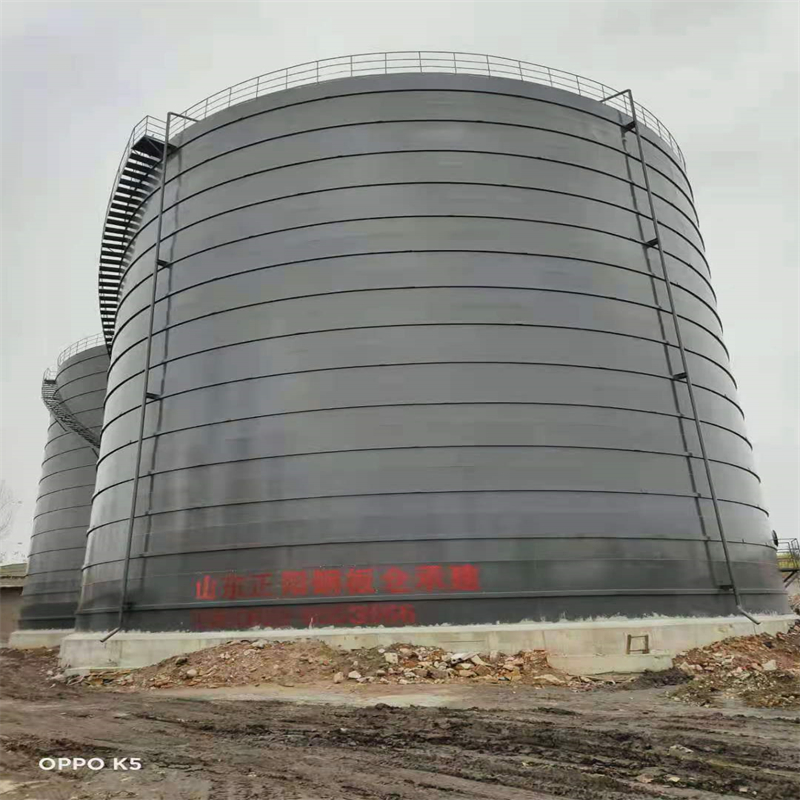 龙湖镇3万吨大型钢板库